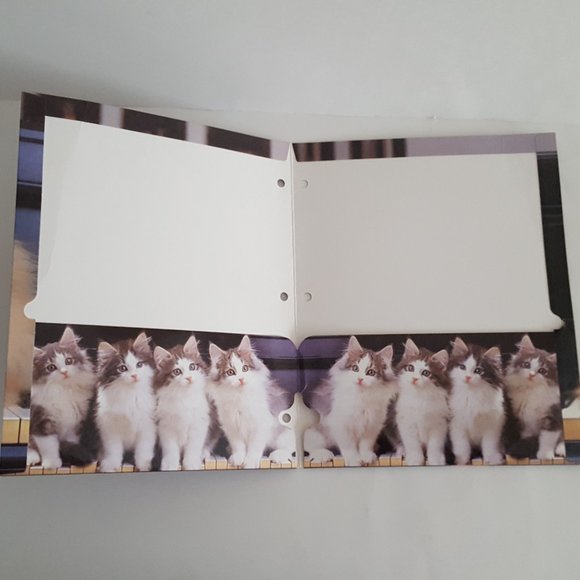 2-Pocket Folder Class Act Paper Portfolio Kittens Keith Kimberlin - Picture 6 of 10